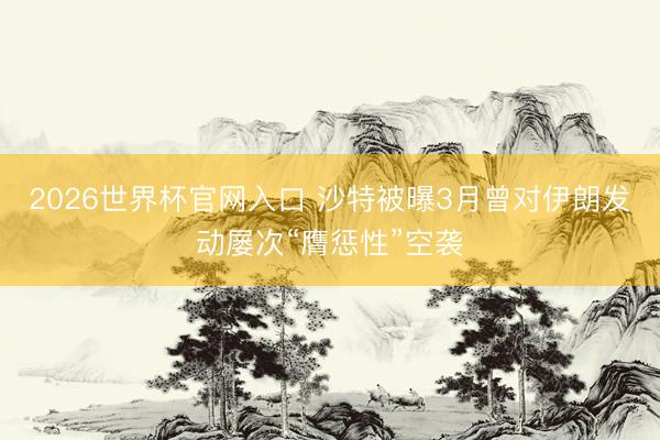 2026世界杯官网入口 沙特被曝3月曾对伊朗发动屡次“膺惩性”空袭