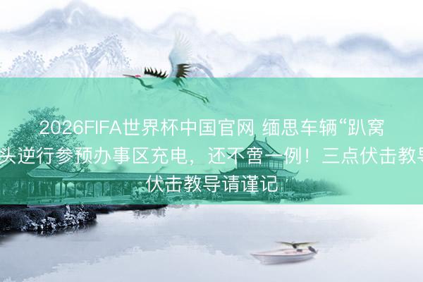 2026FIFA世界杯中国官网 缅思车辆“趴窝”凯旋调头逆行参预办事区充电，还不啻一例！三点伏击教导请谨记
