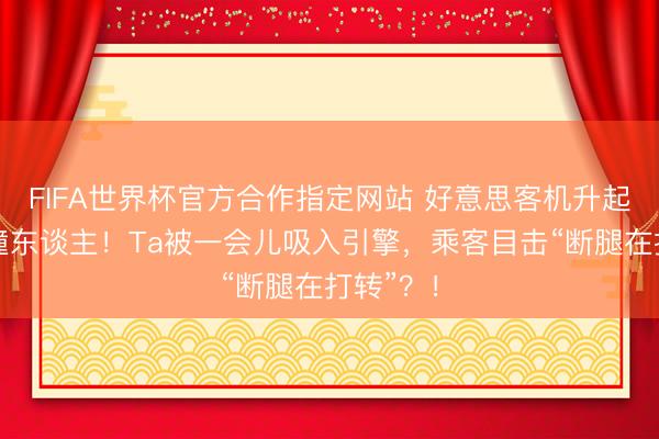 FIFA世界杯官方合作指定网站 好意思客机升起冲刺时撞东谈主！Ta被一会儿吸入引擎，乘客目击“断腿在打转”？！