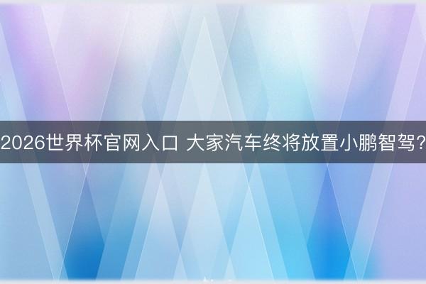 2026世界杯官网入口 大家汽车终将放置小鹏智驾?