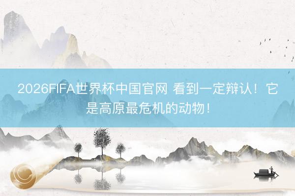 2026FIFA世界杯中国官网 看到一定辩认!它是高原最危机的动物!